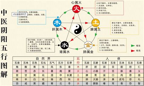 中醫五行屬什麼